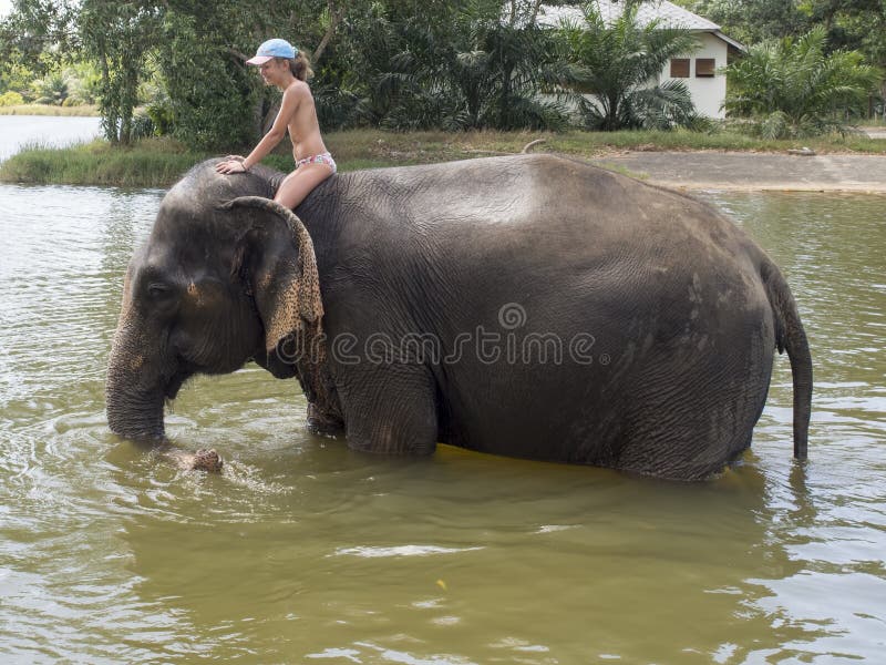 Het baden met een olifant royalty-vrije stock foto Het baden met een olifant royalty-vrije stock foto