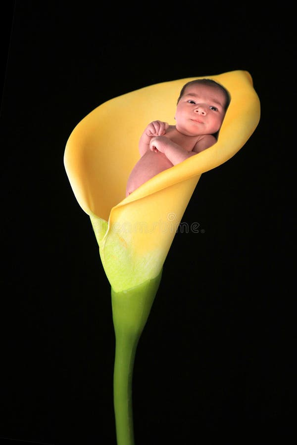 Het Beeld van de fantasie van de Baby van de Zuigeling royalty-vrije stock fotografie Het Beeld van de fantasie van de Baby van de Zuigeling royalty-vrije stock fotografie
