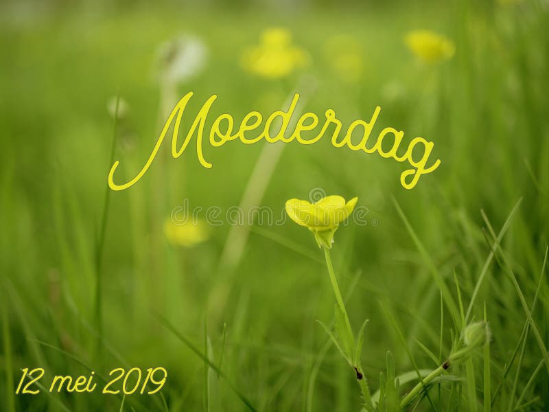 Het Beeld Van De Moedersdag Met Het Woord Moederdag in Het Nederlands