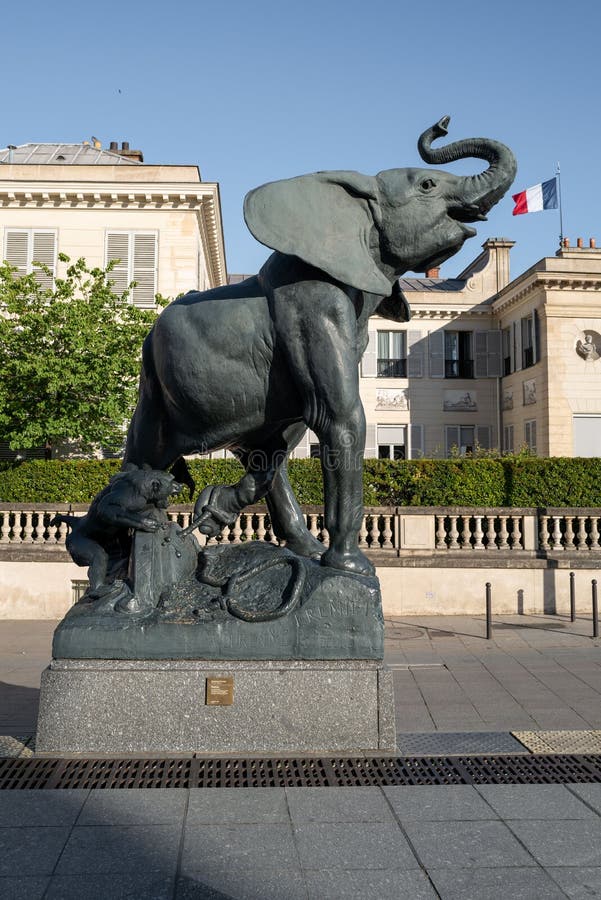 Het beeld van de olifant pris au piege - olifant in parijs