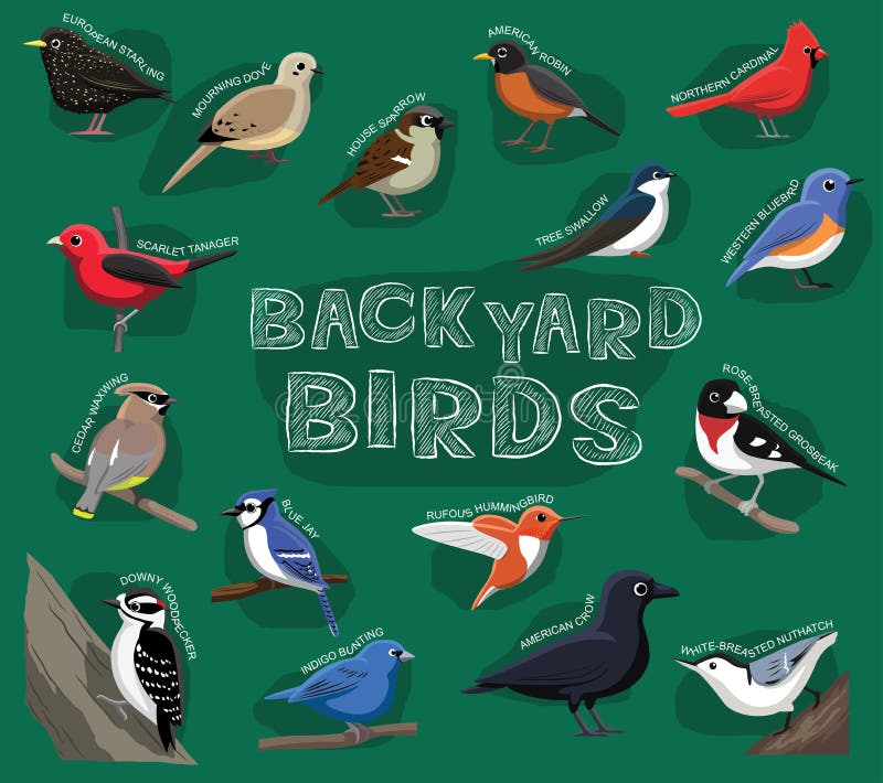 Het Beeldverhaal Vectorillustratie van binnenplaatsvogels royalty-vrije illustratie Het Beeldverhaal Vectorillustratie van binnenplaatsvogels royalty-vrije illustratie