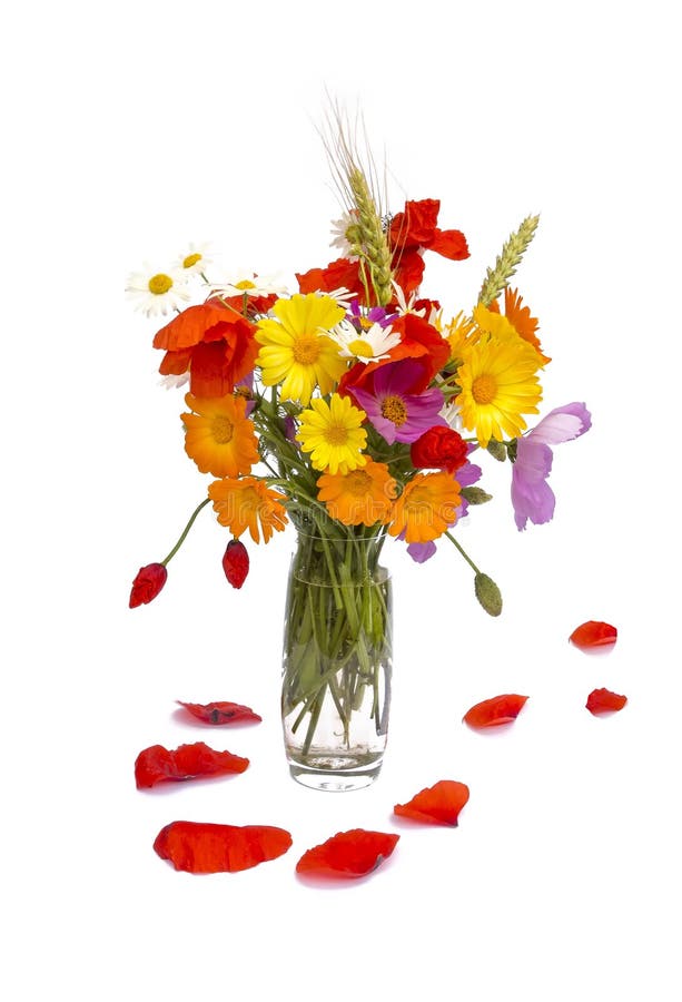 Het boeket en de papaverbladbloemblaadjes van de de zomerbloem, witte achtergrond royalty-vrije stock foto Het boeket en de papaverbladbloemblaadjes van de de zomerbloem, witte achtergrond royalty-vrije stock foto