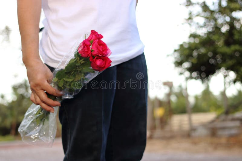 Het boeket van de vrouwenholding van mooie rode rozen op aard bokeh achtergrond Romaans en zoet de dagconcept van Valentine ` s royalty-vrije stock foto's Het boeket van de vrouwenholding van mooie rode rozen op aard bokeh achtergrond Romaans en zoet de dagconcept van Valentine ` s royalty-vrije stock foto's