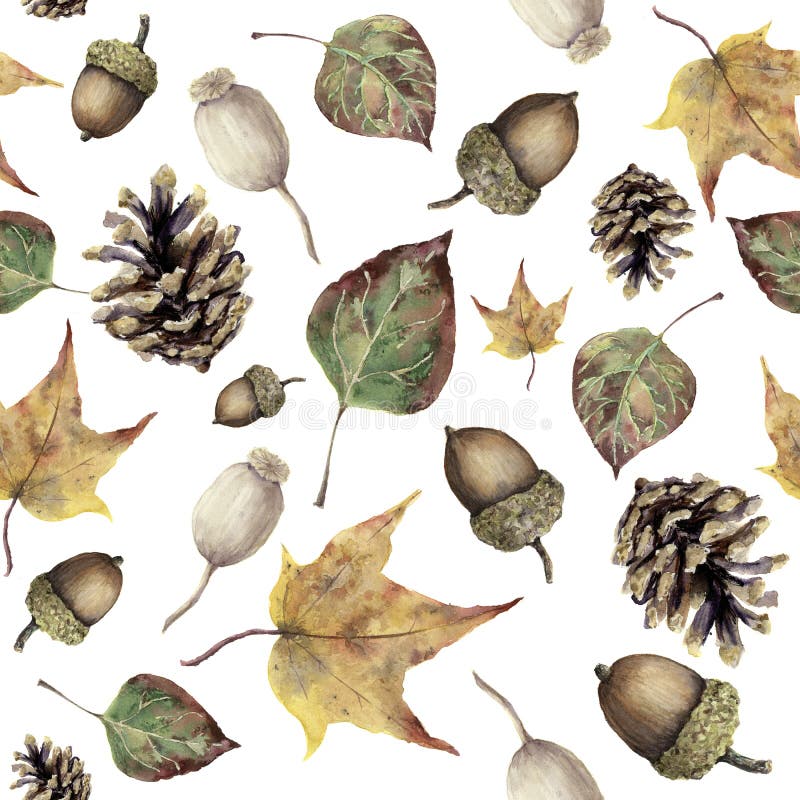 Het bos naadloze patroon van de waterverfherfst De hand schilderde denneappel, eikel, bes en gele en groene dalingsbladeren stock illustratie Het bos naadloze patroon van de waterverfherfst De hand schilderde denneappel, eikel, bes en gele en groene dalingsbladeren stock illustratie