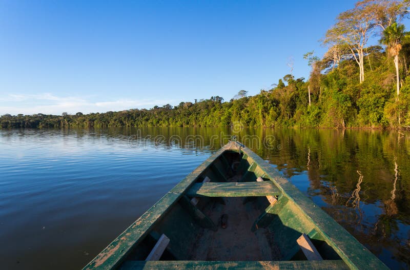 HET BOS VAN AMAZONIË VAN EEN BOOT royalty-vrije stock afbeelding HET BOS VAN AMAZONIË VAN EEN BOOT royalty-vrije stock afbeelding
