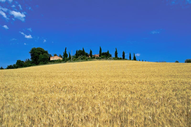 Het Buitenhuis van Toscanië stock afbeelding Het Buitenhuis van Toscanië stock afbeelding