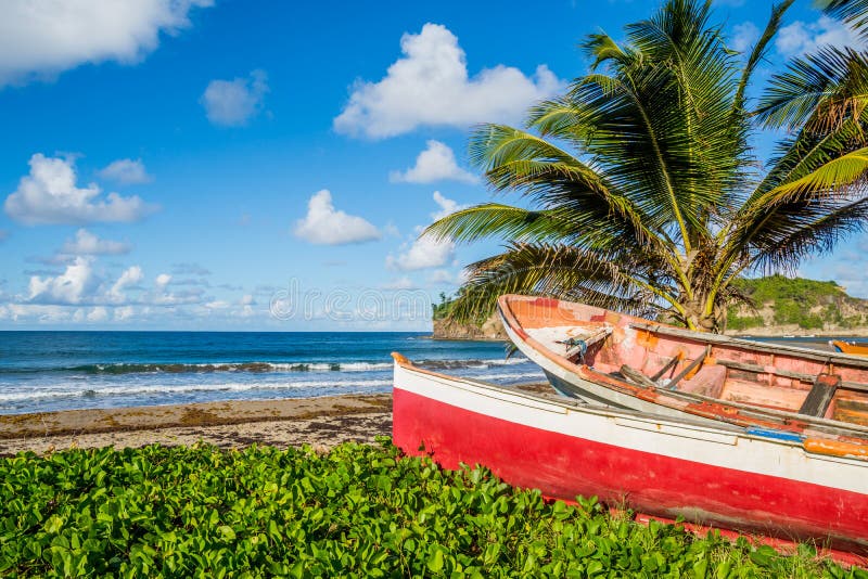 Het Caraïbische strand van Martinique naast traditionele vissersboten stock fotografie Het Caraïbische strand van Martinique naast traditionele vissersboten stock fotografie