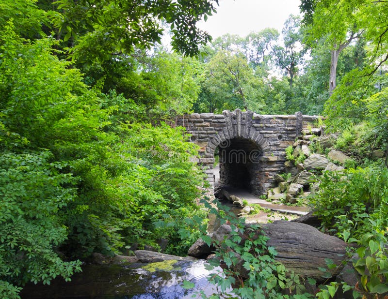 Central Park in New York City stock afbeelding
