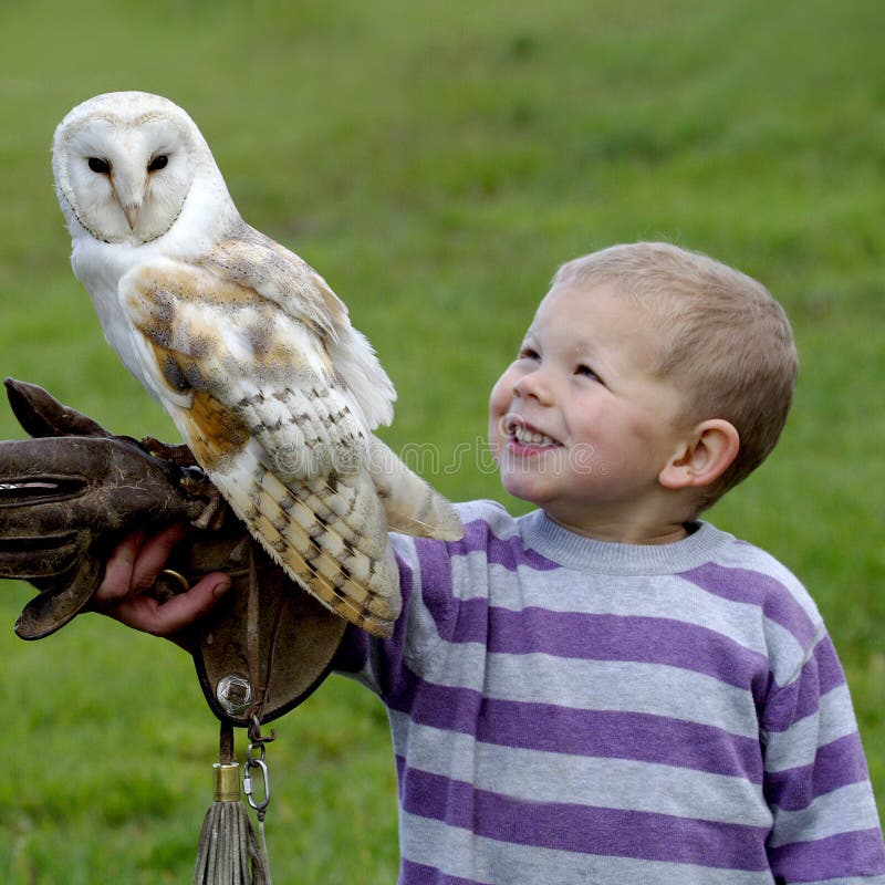 Fenton Bird of Prey Centre Wooler Northumberland England Uk and its birds. Fenton Bird of Prey Centre Wooler Northumberland England Uk and its birds