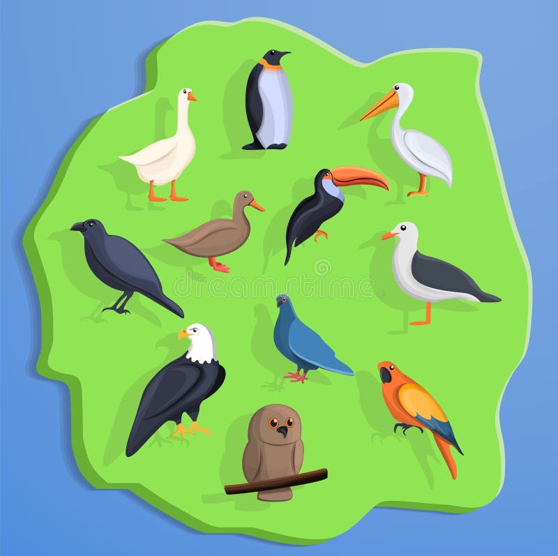 Het conceptenachtergrond van het vogelland, beeldverhaalstijl stock illustratie Het conceptenachtergrond van het vogelland, beeldverhaalstijl stock illustratie