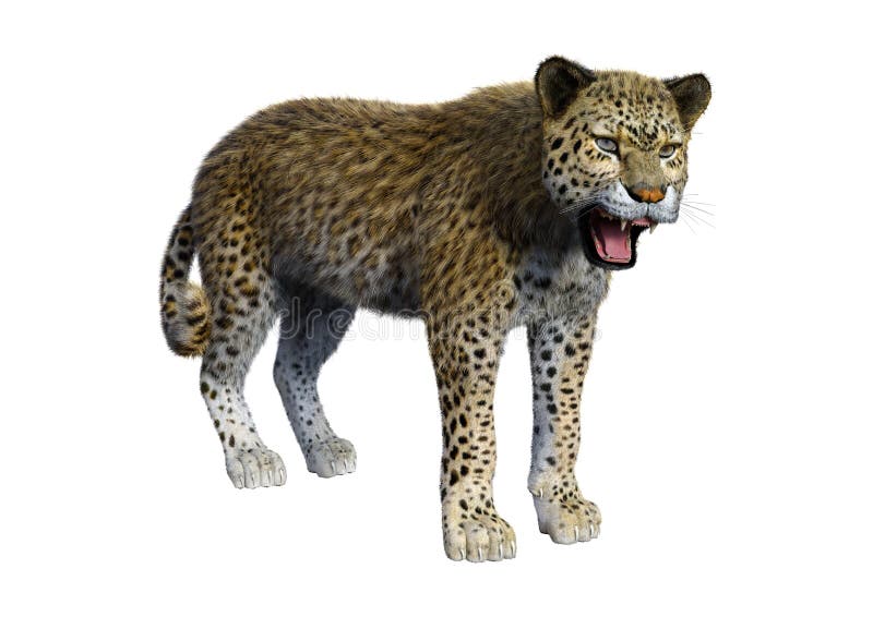 het 3D Teruggeven Grote Cat Leopard op Wit vector illustratie het 3D Teruggeven Grote Cat Leopard op Wit vector illustratie