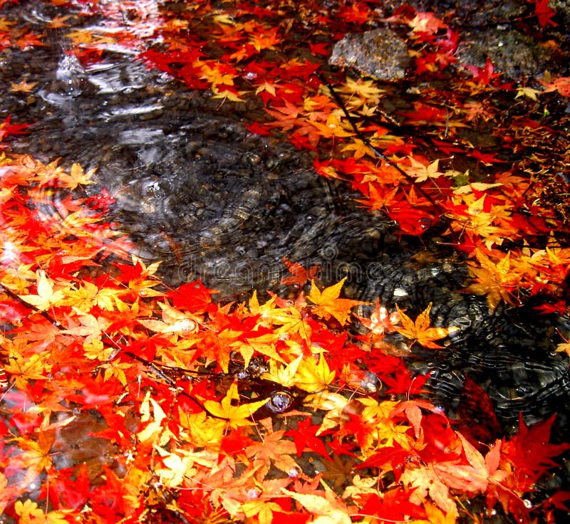 Het dalen van de herfst stock illustratie Het dalen van de herfst stock illustratie