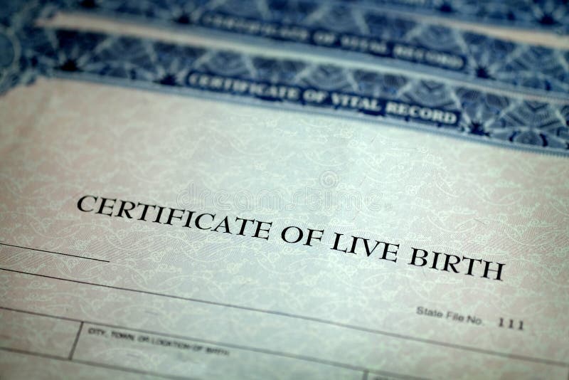 Het Document van de Geboorteaktevorm Offici?le Geboren Baby