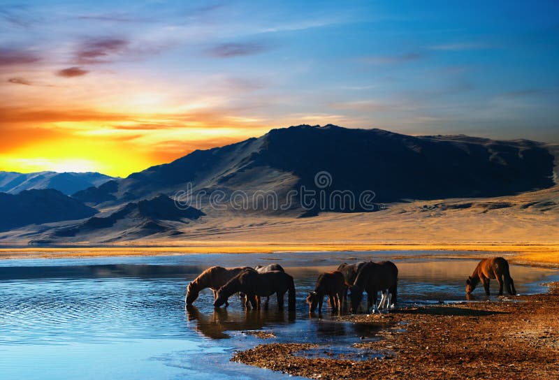 Colorful sunrise in mongolian wilderness. Colorful sunrise in mongolian wilderness