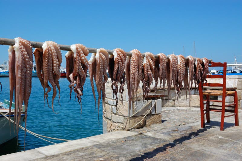 Het drogen van de octopus in naxoseiland van Griekenland