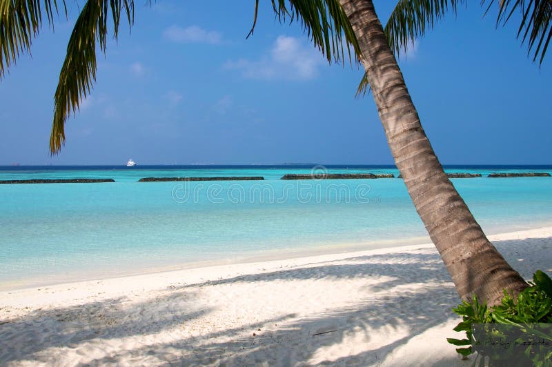Het eiland de Maldiven van Kurumba stock foto's Het eiland de Maldiven van Kurumba stock foto's