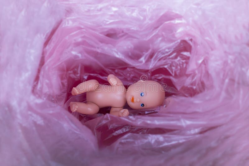 Het embryo in de baarmoeder van de moeder stock foto Het embryo in de baarmoeder van de moeder stock foto