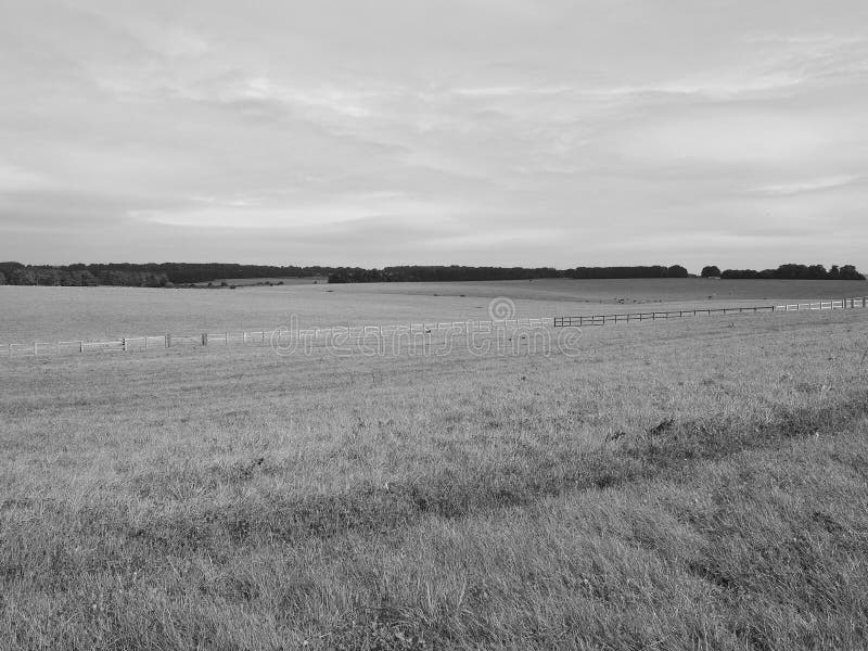 Het Engelse panorama van het land in Salisbury in zwart-wit royalty-vrije stock afbeelding Het Engelse panorama van het land in Salisbury in zwart-wit royalty-vrije stock afbeelding