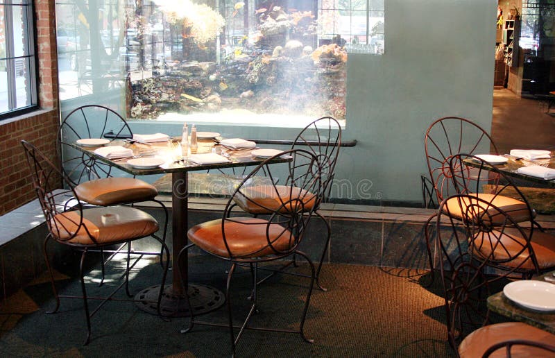 Eten met de Vissen stock foto's