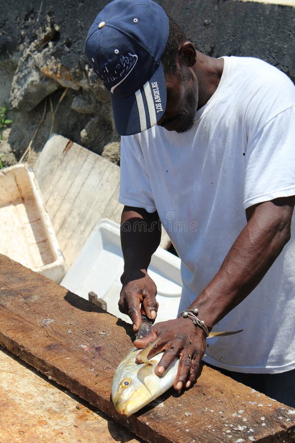 Visfilet stock fotografie