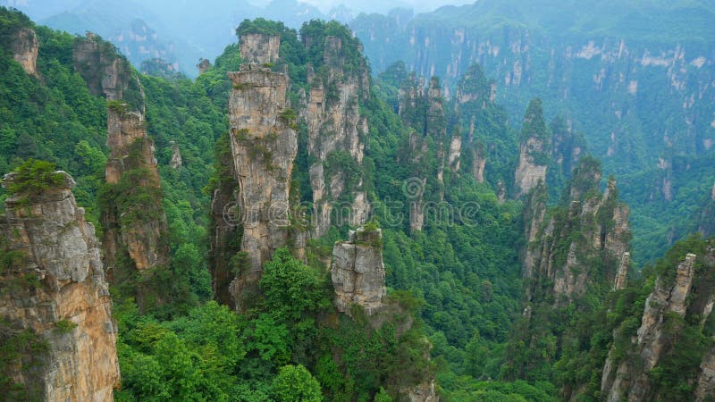 Het filteren van schot van het Nationale bospark van Zhangjiajie, Wulingyuan, China