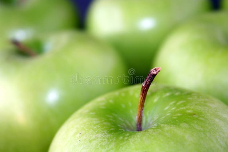 Het fruit van appelen