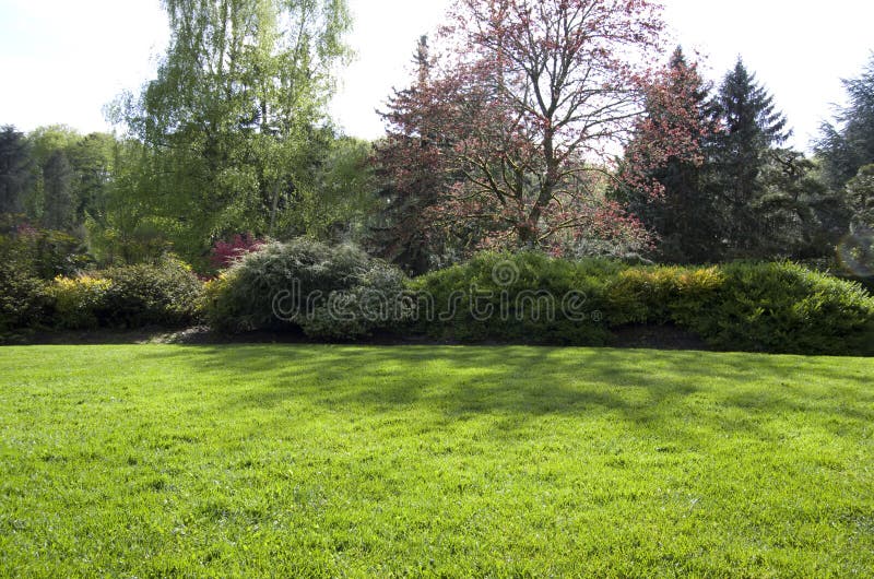 Het gazon van de de lentetuin stock foto Het gazon van de de lentetuin stock foto