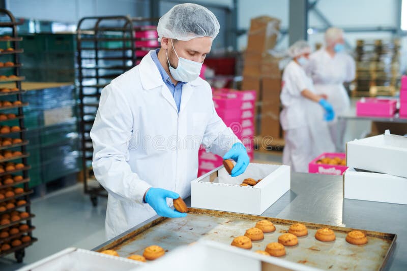 Het gebakje van de de arbeidersverpakking van de banketbakkerijfabriek in doos