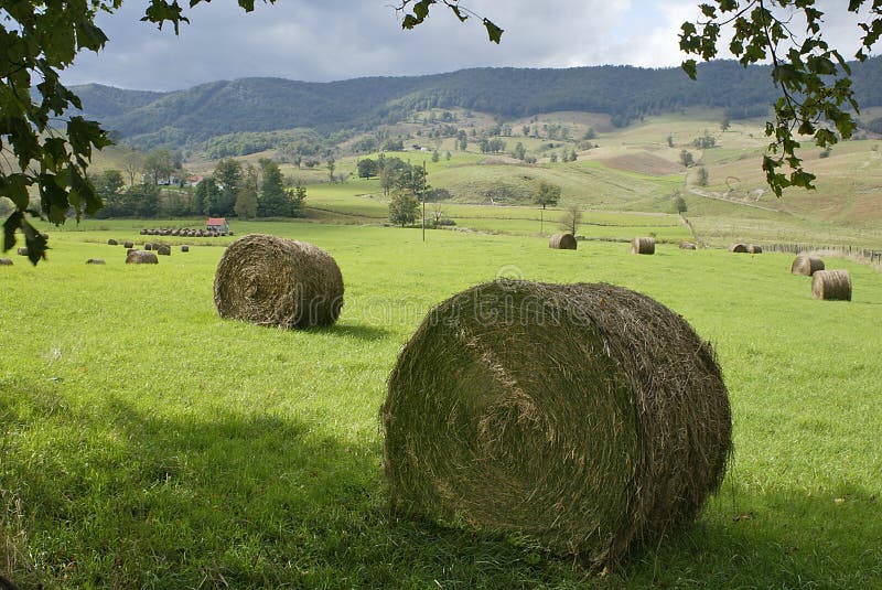 Het gebied van het hooi stock foto Het gebied van het hooi stock foto