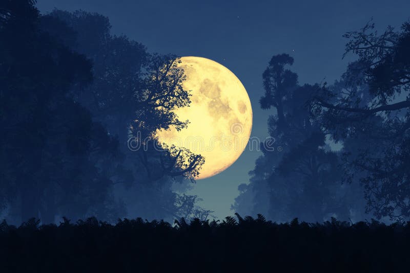 Het geheimzinnige Magische Bos van het Fantasiesprookje bij Nacht in de Volle maan