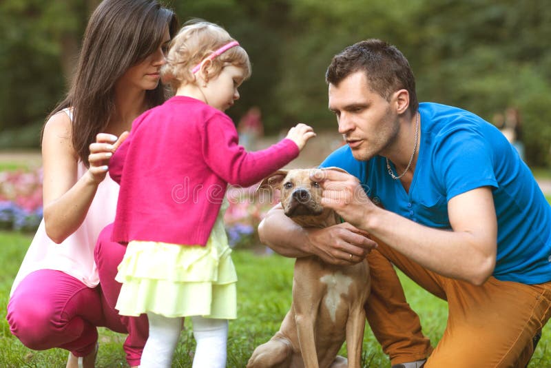Het gelukkige familie spelen in het park met zijn hond stock foto's Het gelukkige familie spelen in het park met zijn hond stock foto's