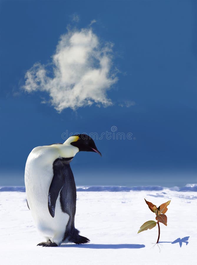 Het globale Verwarmen in Antarctica royalty-vrije stock foto Het globale Verwarmen in Antarctica royalty-vrije stock foto