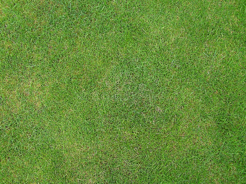 Download Het Gras van Wimbledons stock foto. Afbeelding bestaande uit gebieden - 26020