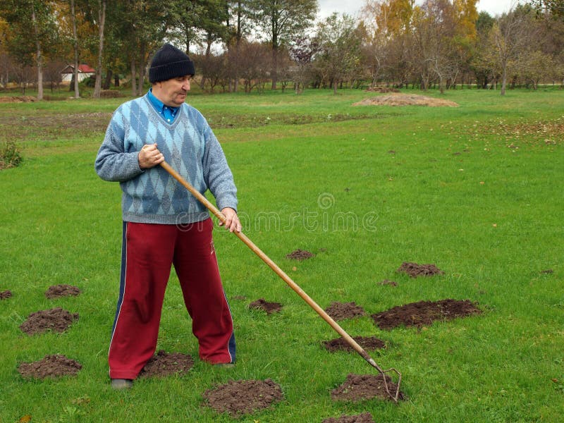 Het harken van 2 stock afbeelding. Image of gebied 34004277