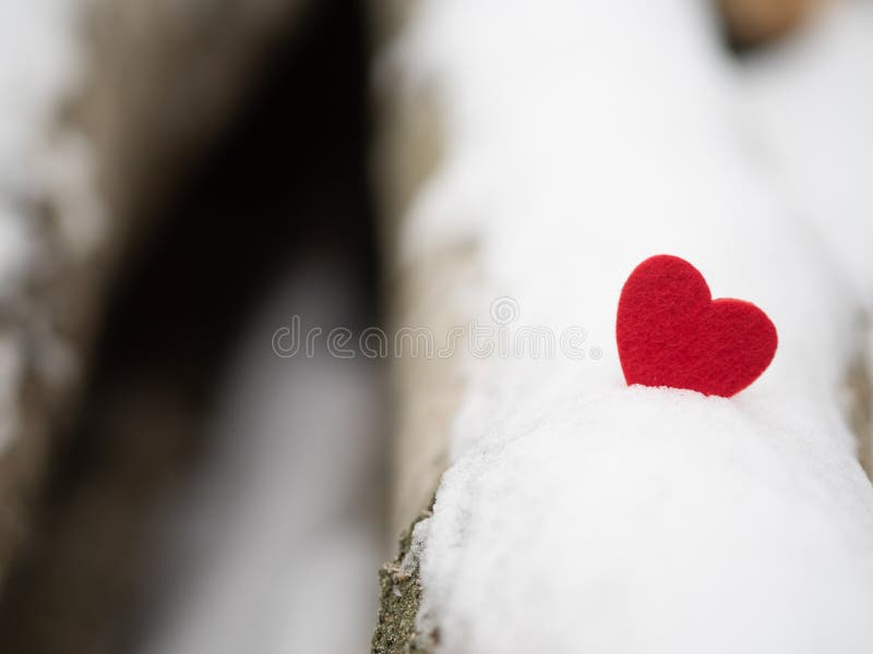 red heart on the snow  winter  woods  blurred background  valentines day  14 February. red heart on the snow  winter  woods  blurred background  valentines day  14 February