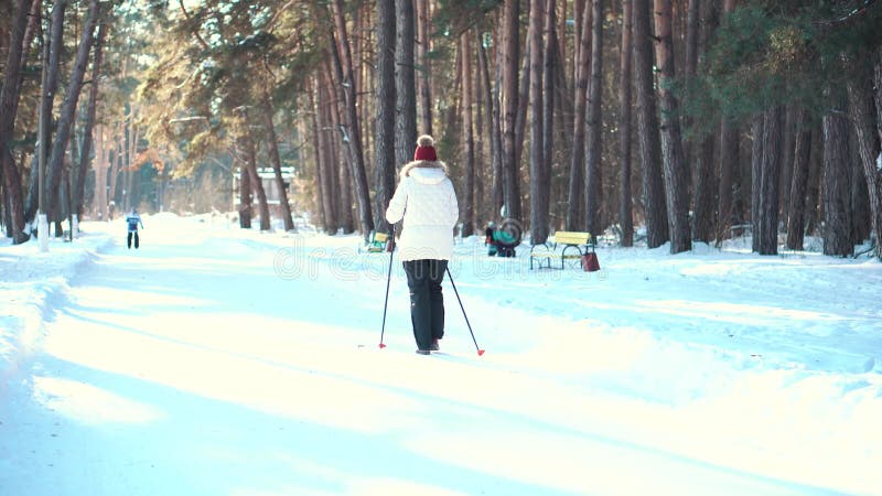 Het hogere vrouw noordse lopen in de winterpark