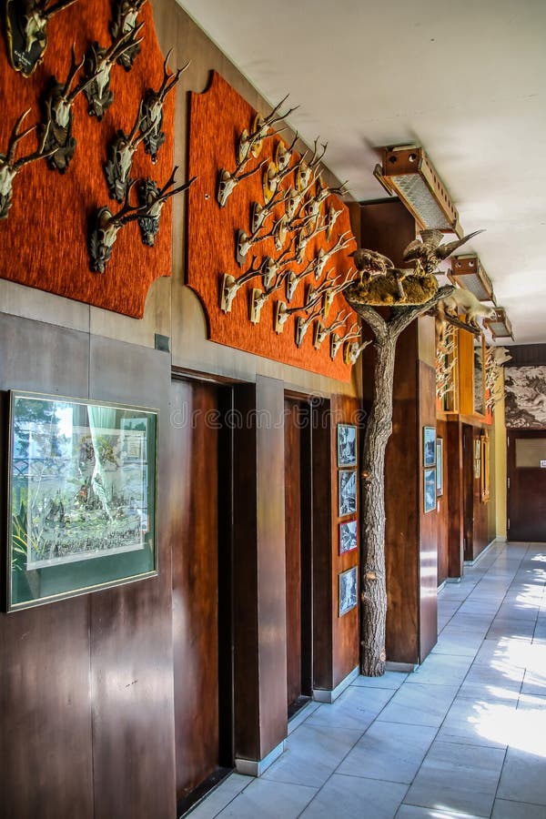 Het Hotel van het Forester’shuis, Brno, CZ royalty-vrije stock afbeeldingen Het Hotel van het Forester’shuis, Brno, CZ royalty-vrije stock afbeeldingen