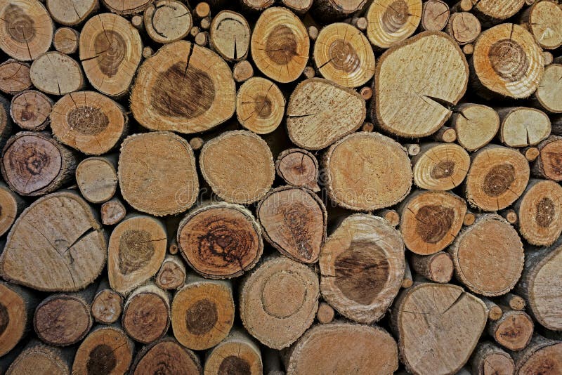 Het houten cirkelspatroon van cutted boomboomstammen De ronde stukken zijn van verschillende grootte Abstracte achtergrond, Houte stock afbeeldingen Het houten cirkelspatroon van cutted boomboomstammen De ronde stukken zijn van verschillende grootte Abstracte achtergrond, Houte stock afbeeldingen