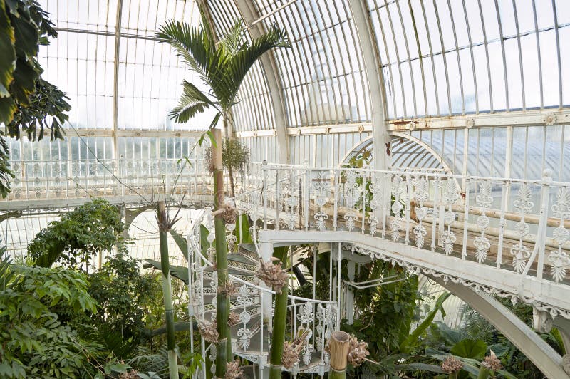 Het Huis van de palm, Kew Tuinen, Londen