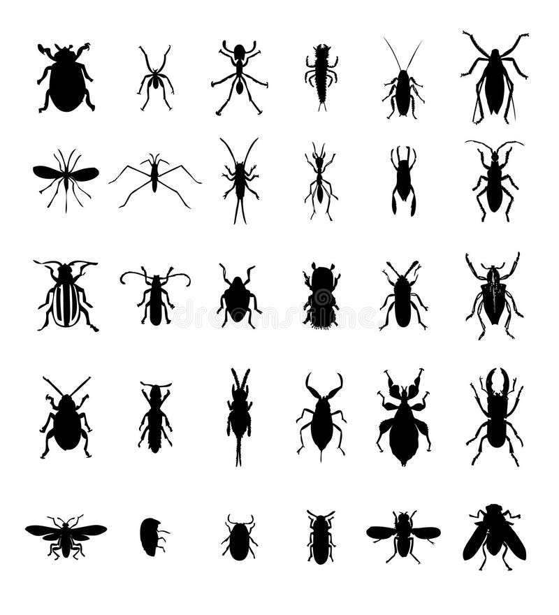 Bug insect silhouettes raster set. Bug insect silhouettes raster set