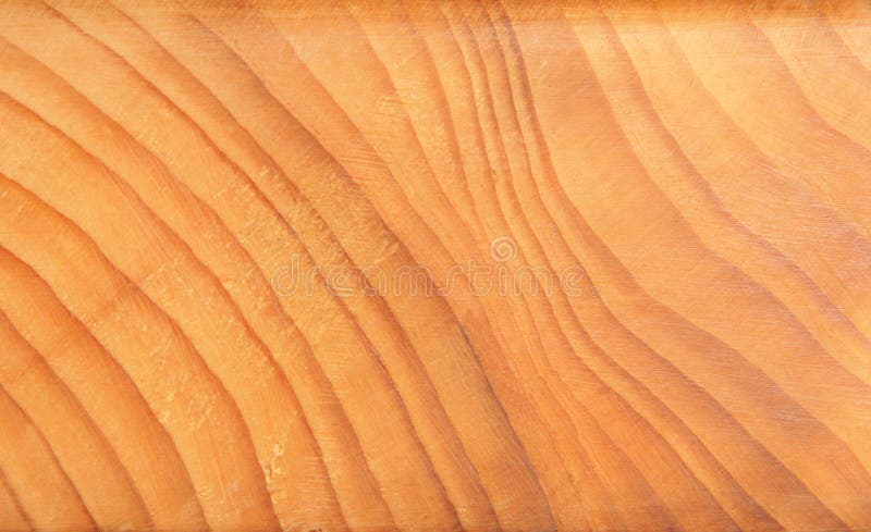 Het jaarringen van de boom stock foto's Het jaarringen van de boom stock foto's