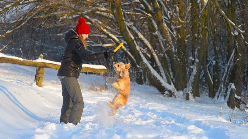 Het jonge meisje maakt een opleiding voor haar hond