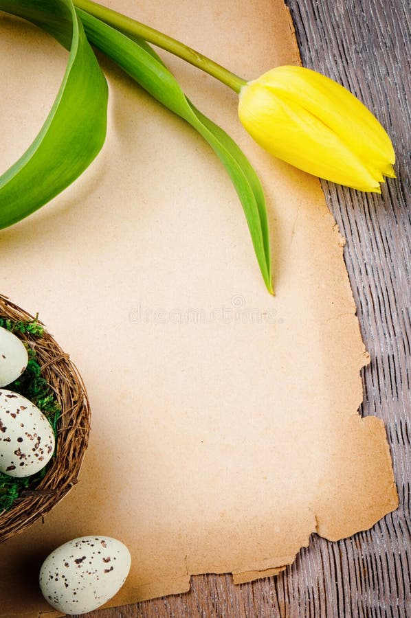 Het kader van Pasen met gele tulp en uitstekend document stock fotografie Het kader van Pasen met gele tulp en uitstekend document stock fotografie