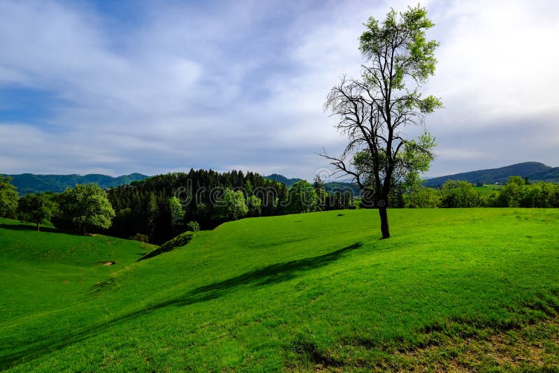 Het kalmeren van Styrian-landschap stock foto Het kalmeren van Styrian-landschap stock foto