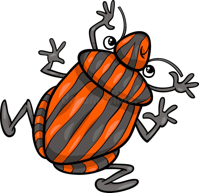 Cartoon Illustration of Funny Shield Bug Insect Character. Cartoon Illustration of Funny Shield Bug Insect Character