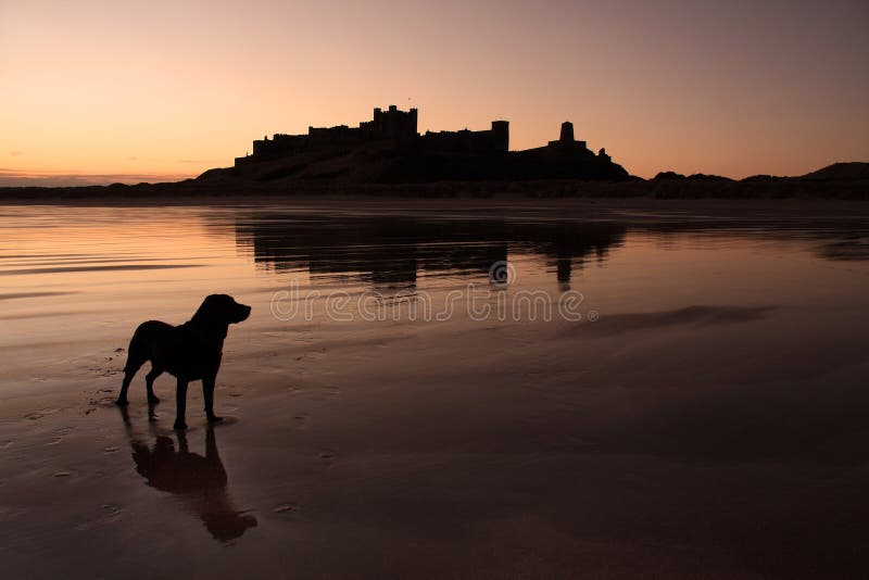 Bamburgh castle the north Northumberland coastline England. Bamburgh castle the north Northumberland coastline England