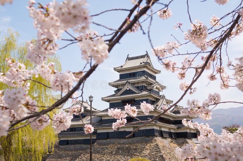 Het kasteel van Matsumoto met de lentebloesems royalty-vrije stock foto's Het kasteel van Matsumoto met de lentebloesems royalty-vrije stock foto's