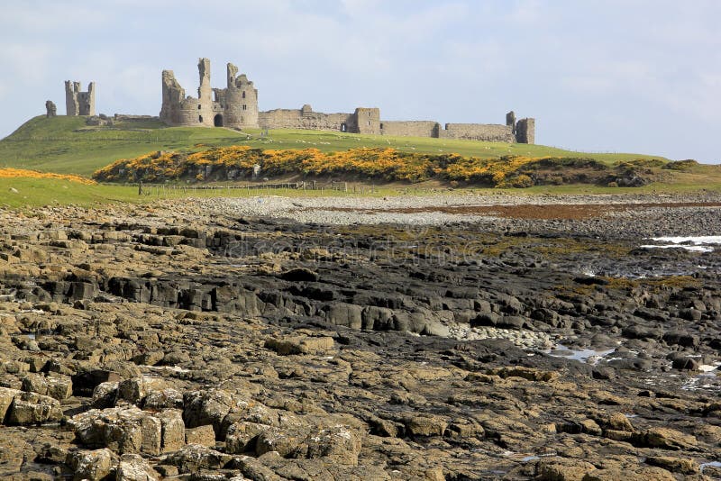 Rocky coastline of the northumberland coast of england and the ruins of Dunstanburgh castle. Rocky coastline of the northumberland coast of england and the ruins of Dunstanburgh castle