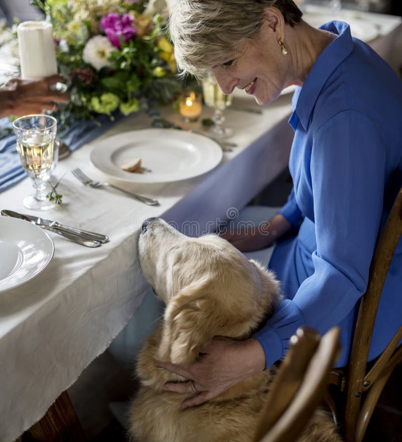 Het Kaukasische Golden retriever van Vrouwenpetting bij Partijontvangst royalty-vrije stock foto's Het Kaukasische Golden retriever van Vrouwenpetting bij Partijontvangst royalty-vrije stock foto's
