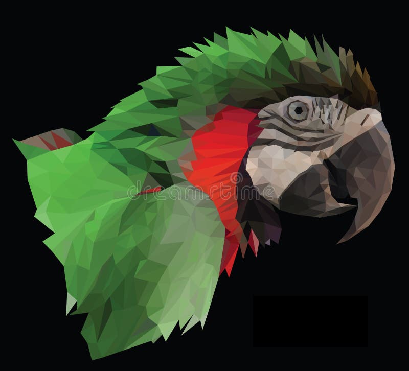 Het kleurrijke hoofd van de arapapegaai op zwarte achtergrond stock illustratie Het kleurrijke hoofd van de arapapegaai op zwarte achtergrond stock illustratie
